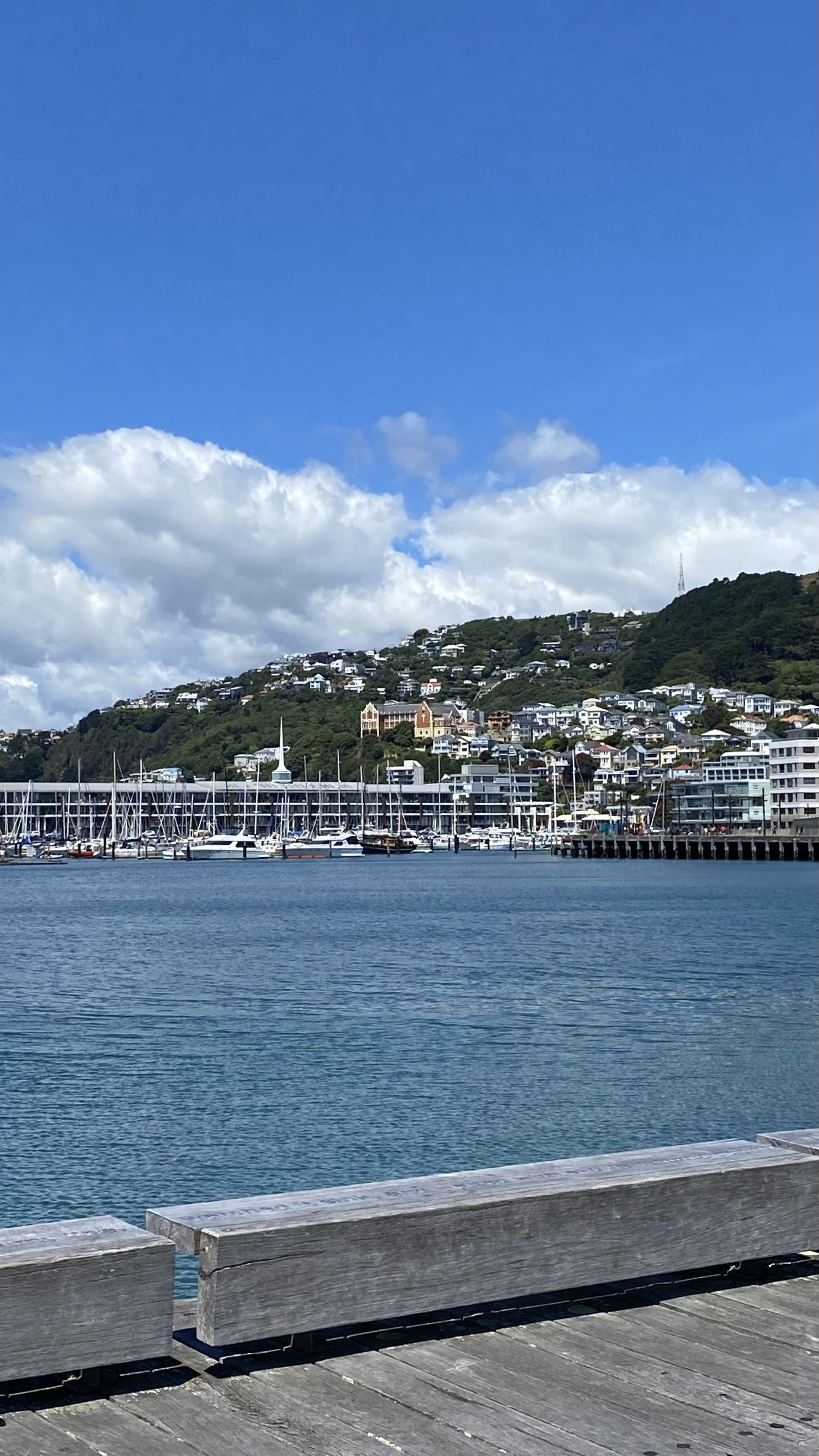 Wellington Waterfront Walk in New Zealand