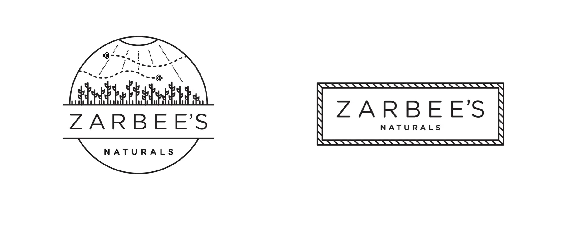 Two Zarbee's Naturals logo concepts — a circular badge with line-art landscape showing bees, rolling hills, and botanical elements, and a rectangular mark with braided rope border evoking handcrafted and natural qualities.