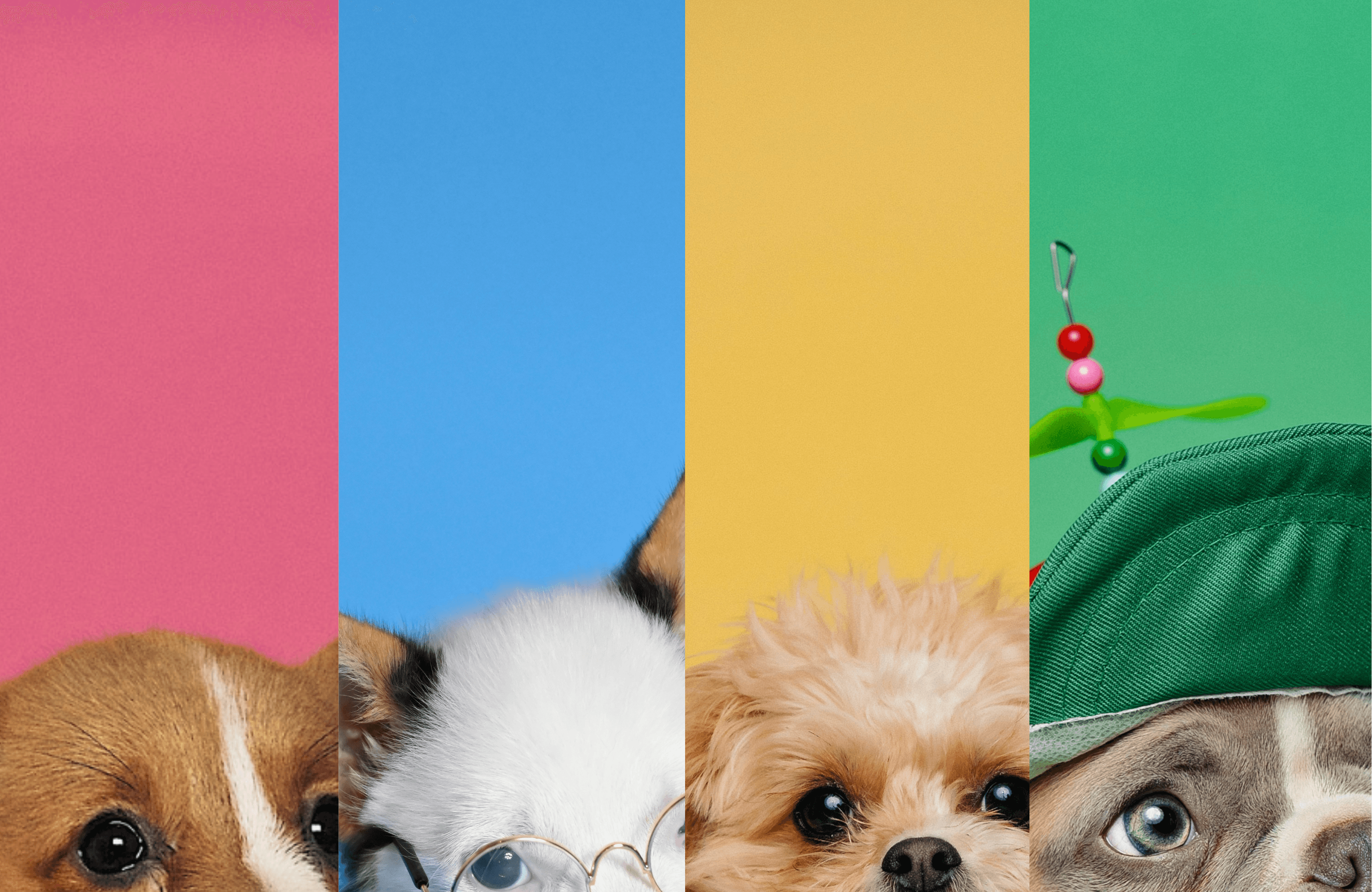 a close up of a shaggy brown animal