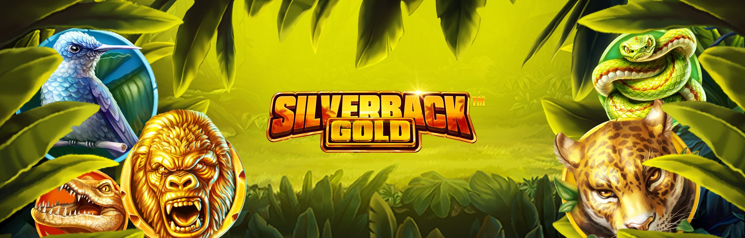 Silverback Gold - visuel officiel NetEnt