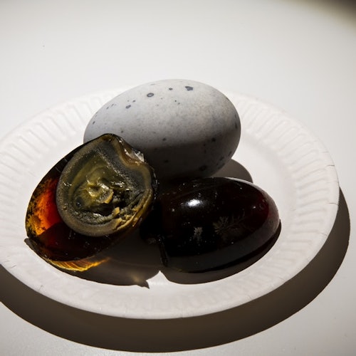 马尔默恶心食品博物馆：入场门票