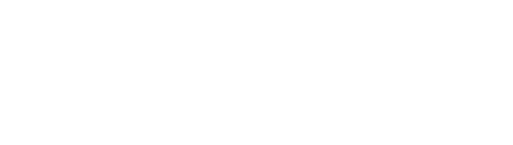 HubSpot Logo White