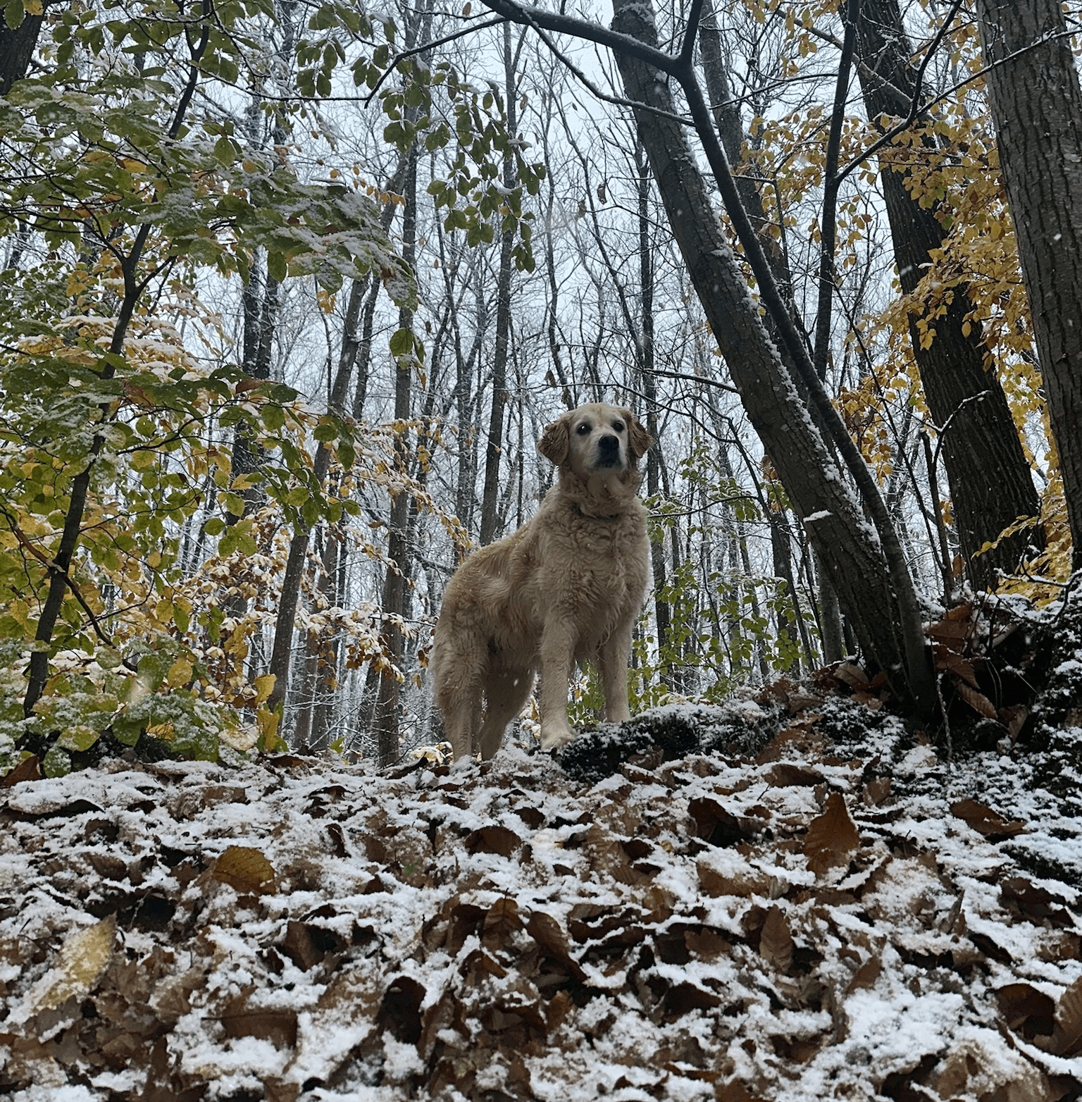 Una&Co Photo Balade éducative