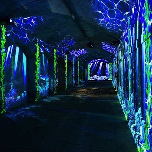 Isang lagusan na may mga dingding at kisame na pinapailawan ng asul na ilaw na para bang nagmumula sa ilalim ng dagat, tampok ang mga imahe ng halamang-dagat at buhay-dagat.