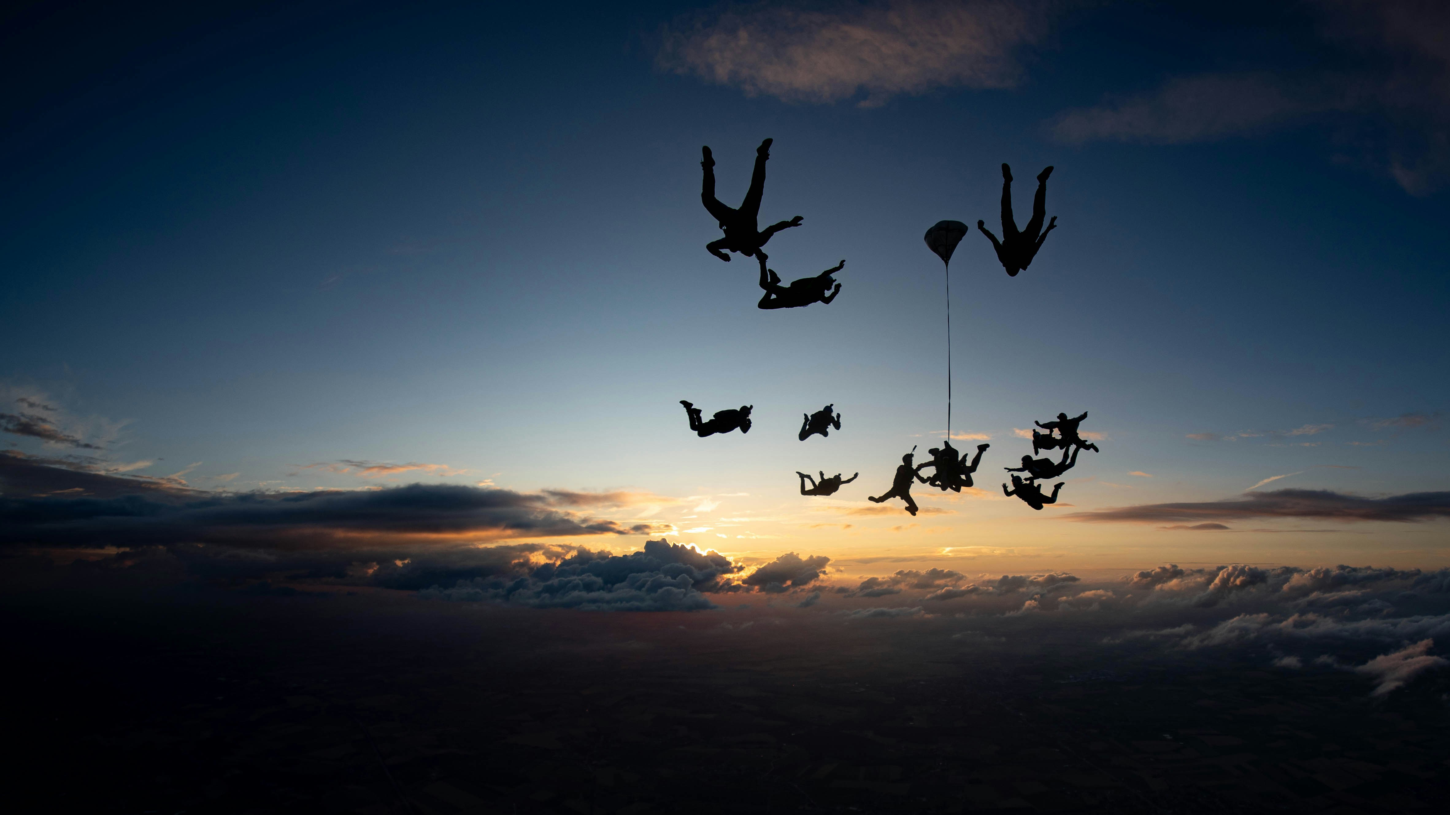 A group of birds flying in the sky