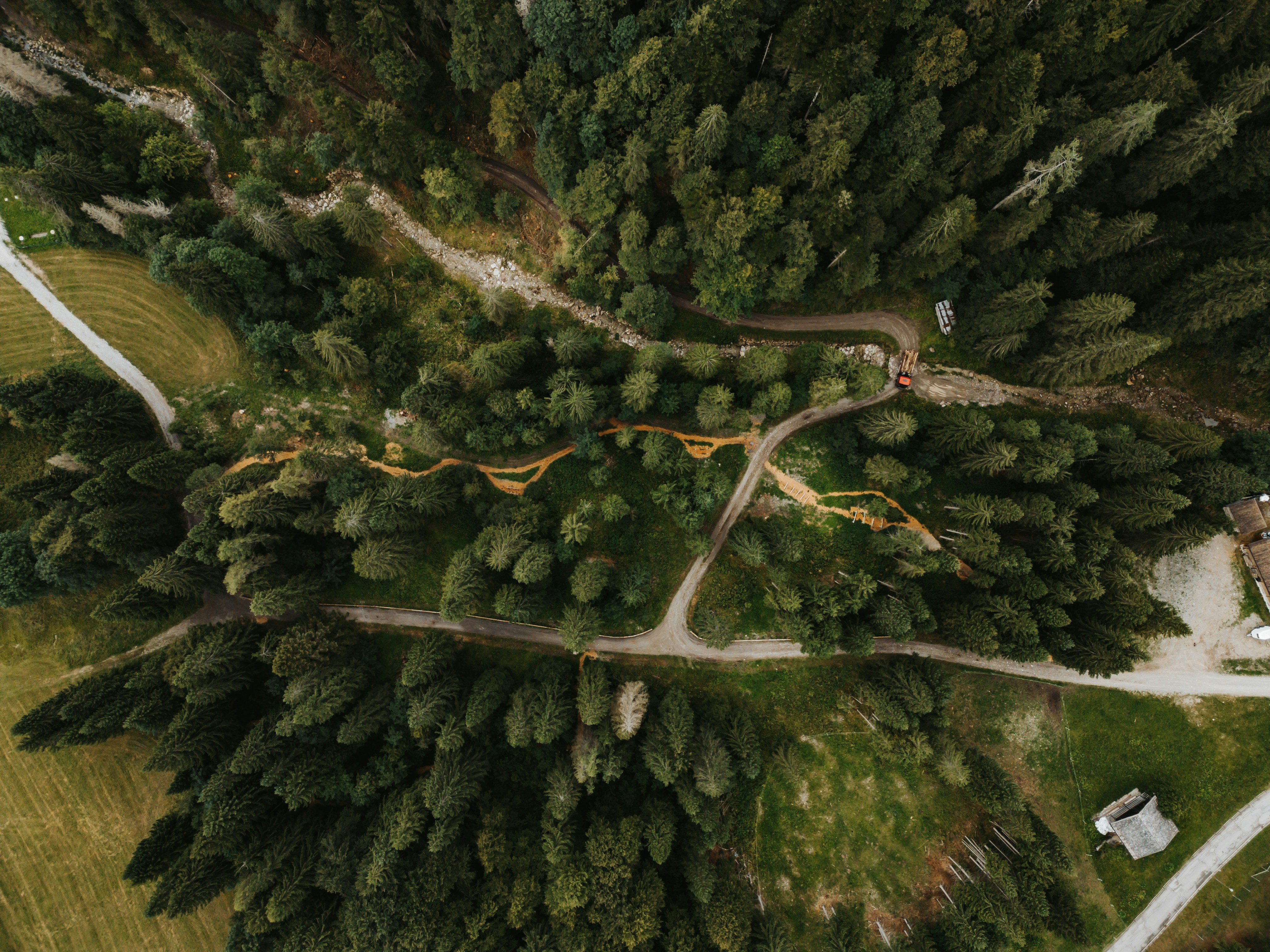 Aerial view of a winding path through a dense forest.