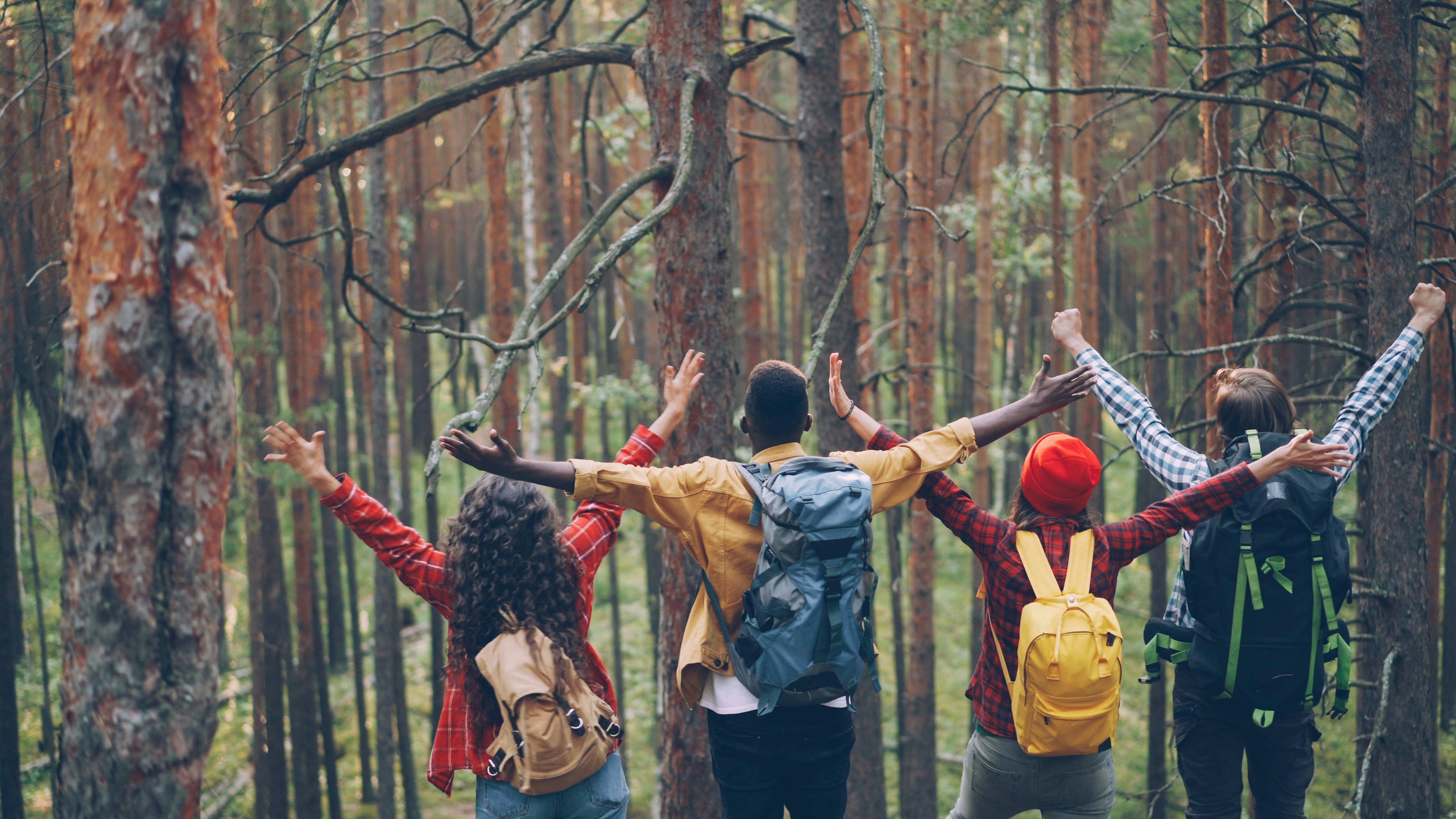 Group trip