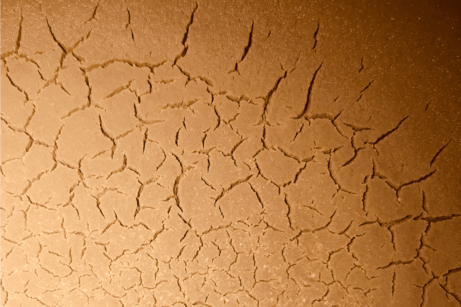 Bio Uljara filtracije