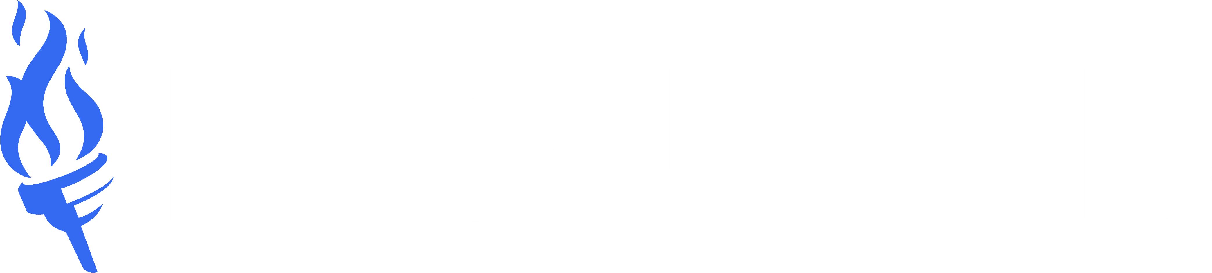 Second Project Image