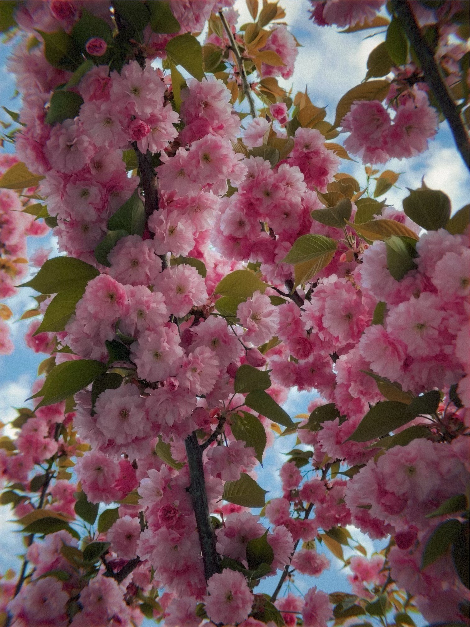 a building with persony windows