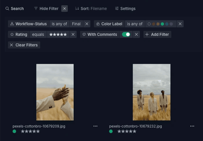 Oberfläche für kombinierte Filter-Suche mit Workflow-Status, Farb-Labels, Bewertungen und Kommentar-Filtern in moodcase Studio.