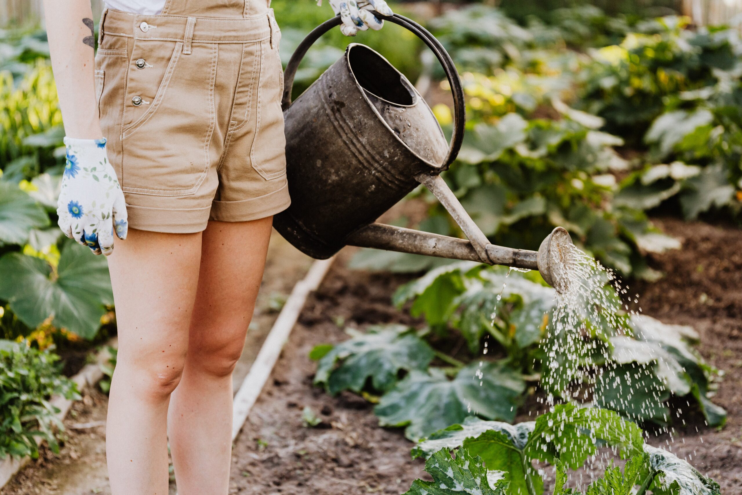 Tendencias de jardinería 2024 con diseño sostenible