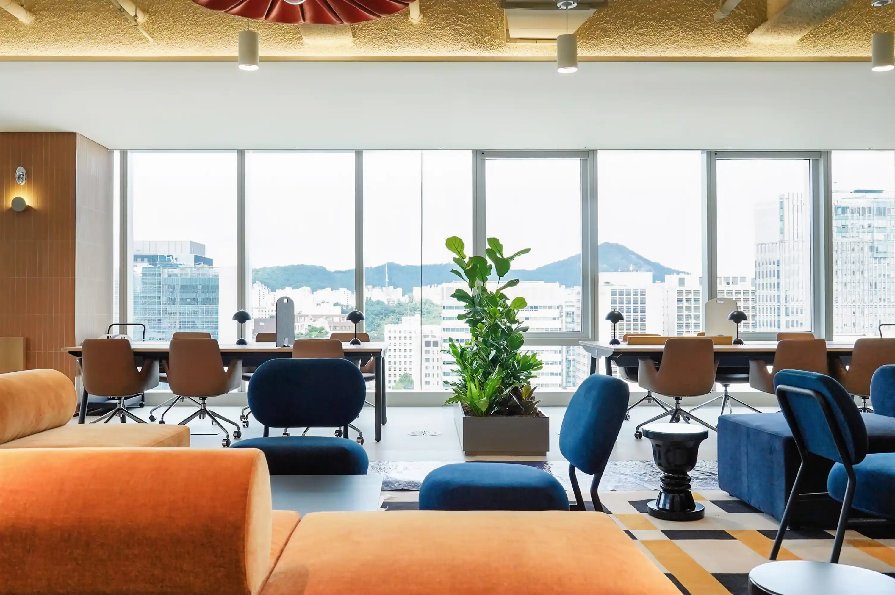 사옥 창가 업무 공간 떡갈잎고무나무 포인트 식재