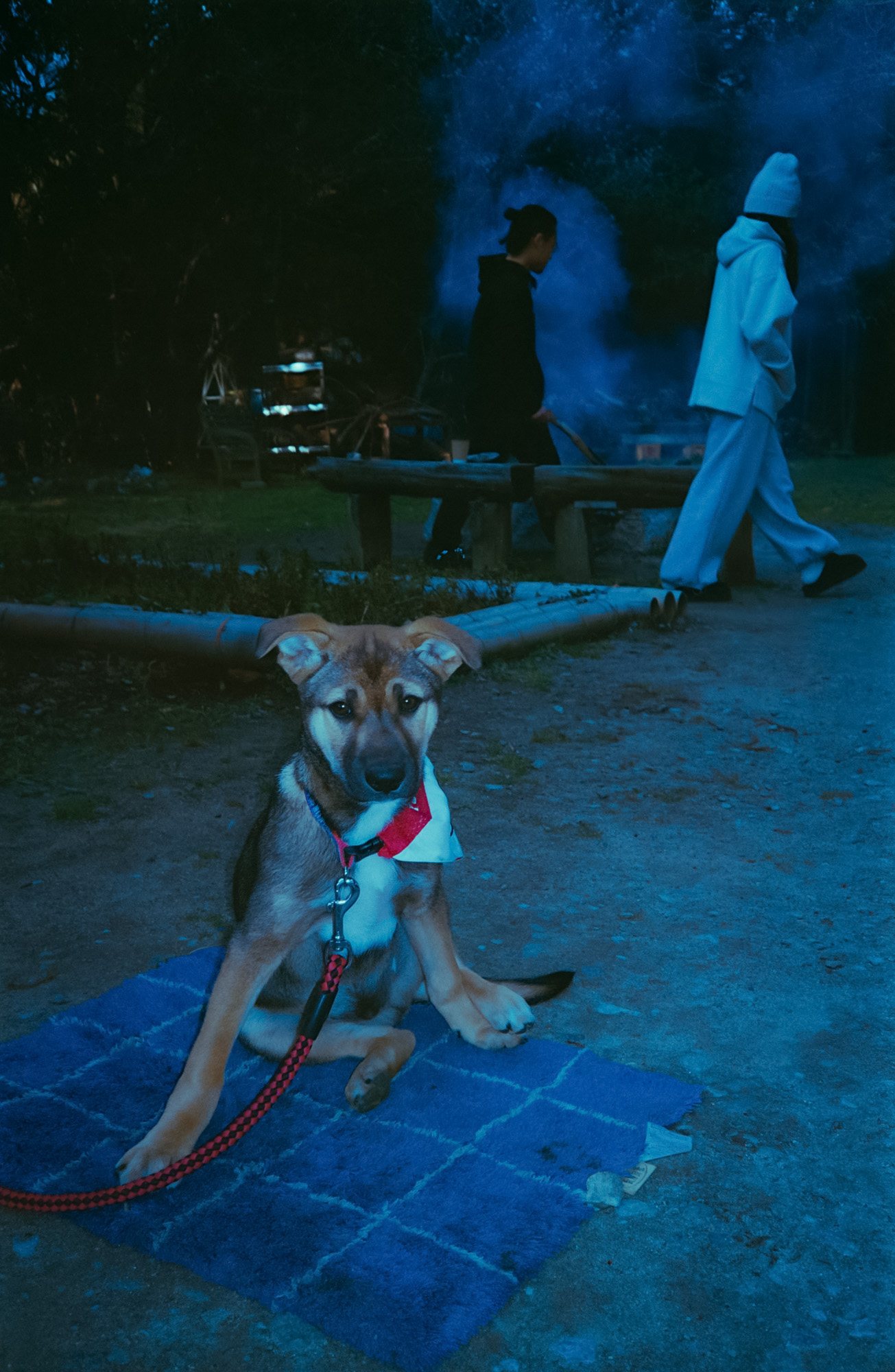 Taisei Matsumoto, archive random photograph 039