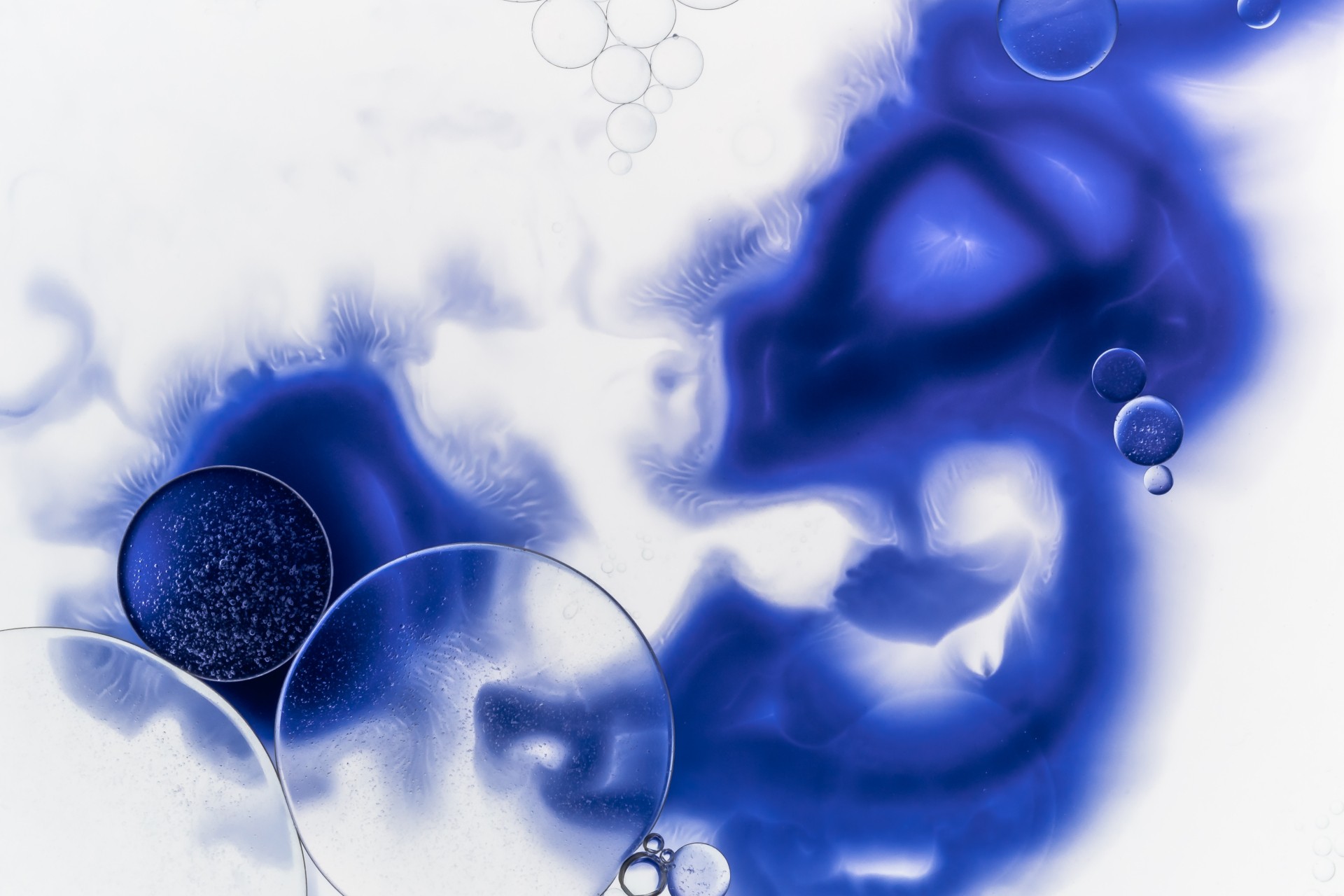 Organic Ink Simulation