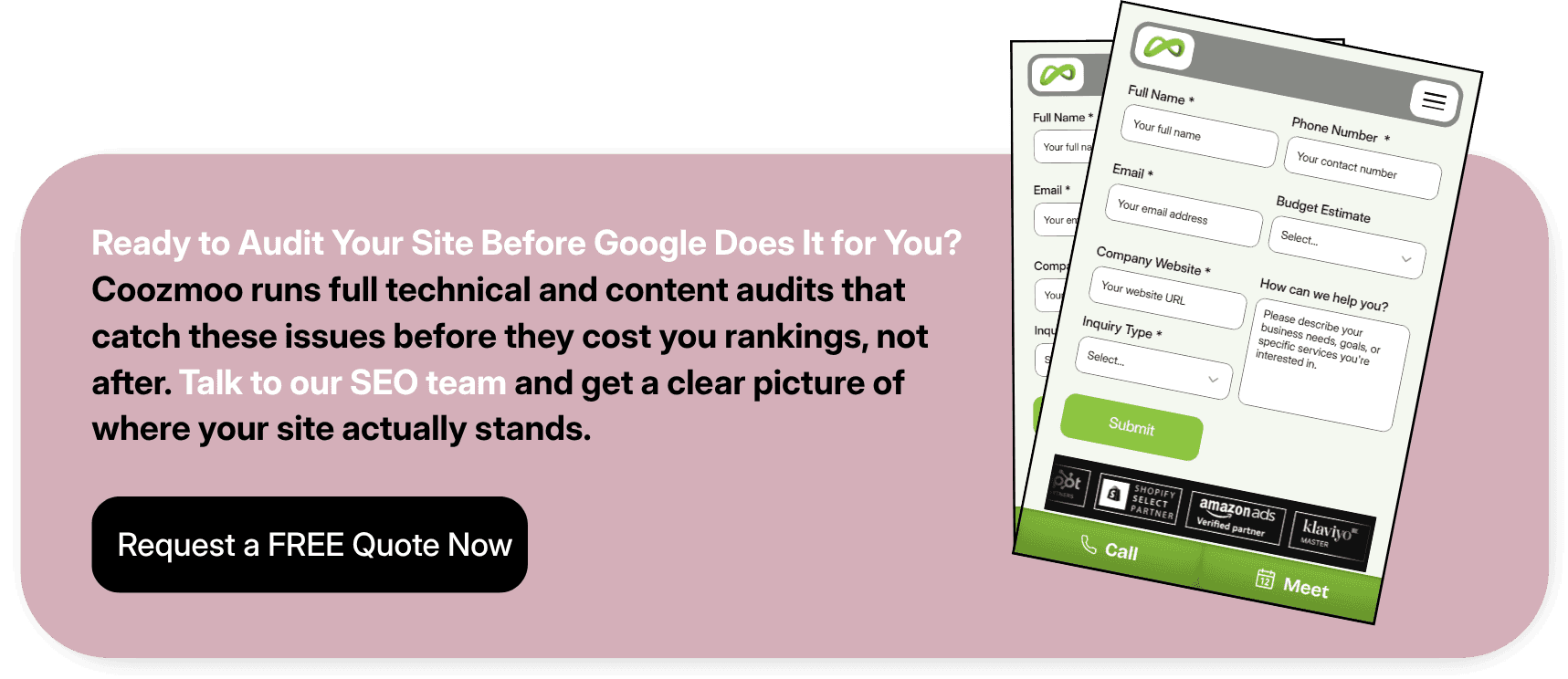 website audit service CTA with lead generation form and free quote button.
