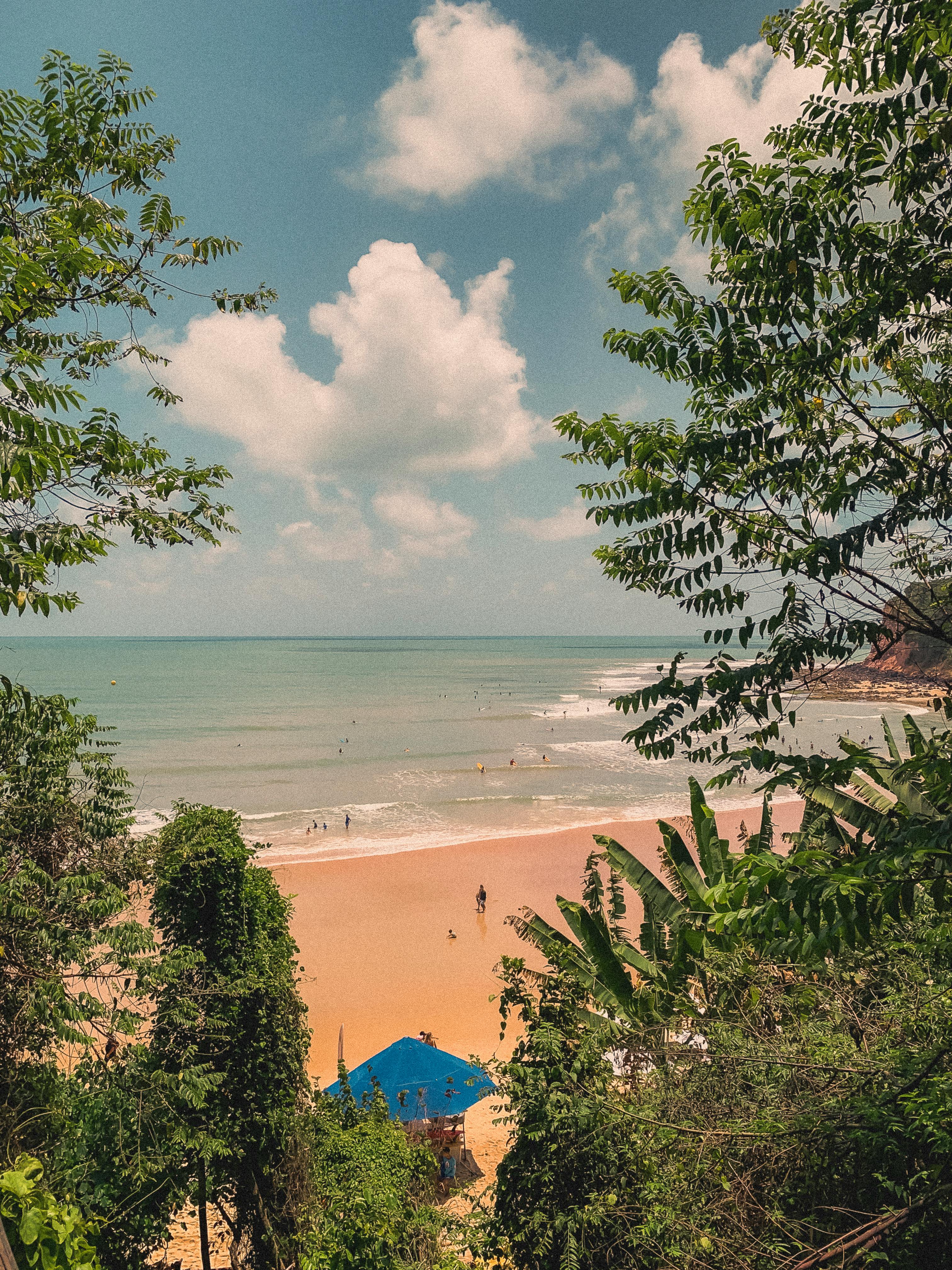 Close-up of a tree stump showing growth rings and a textured brown wood surface.