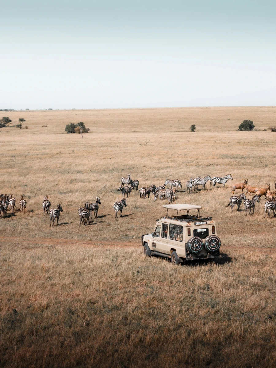 Vue aérienne d’un 4x4 en déplacement dans la savane
