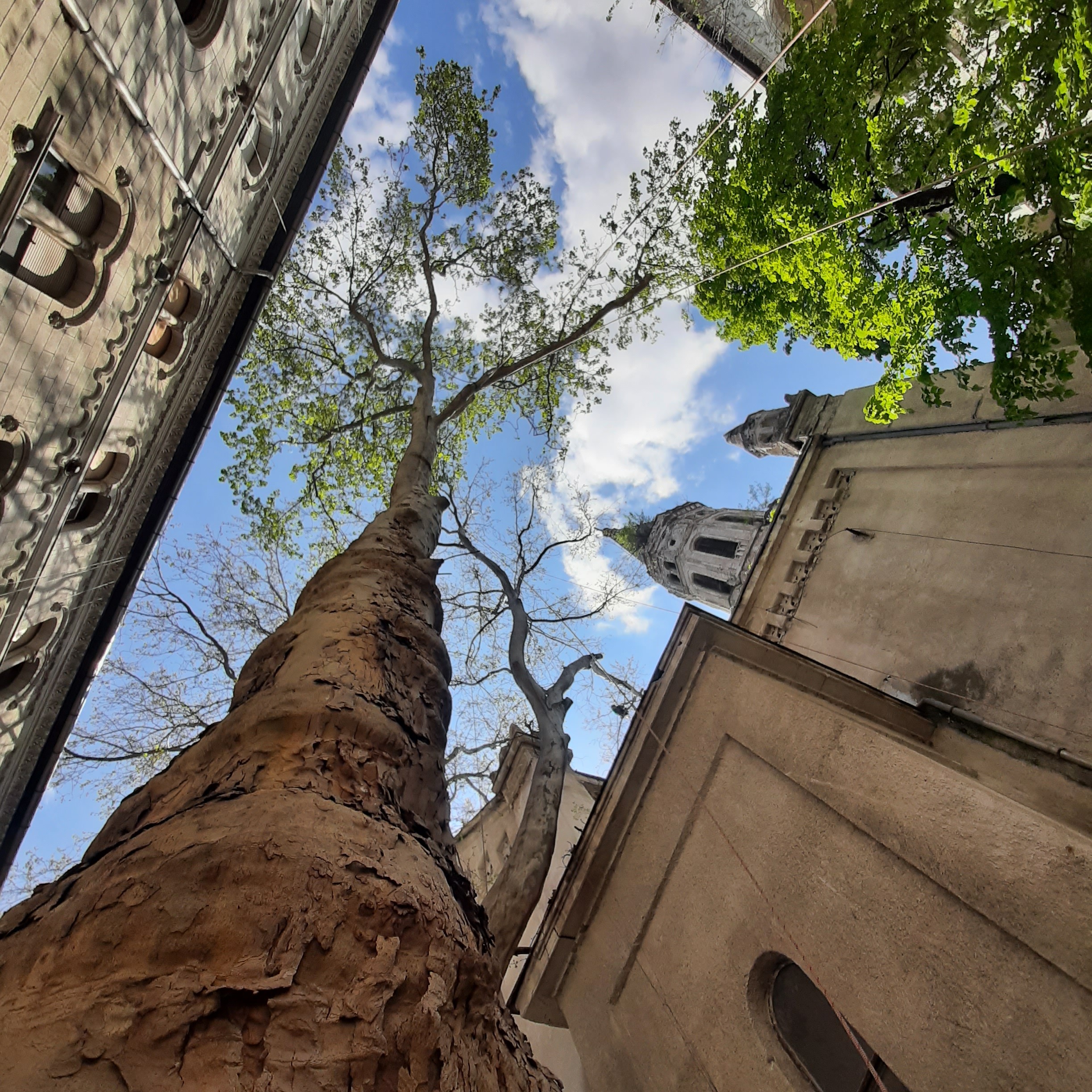 Man Working On a roof