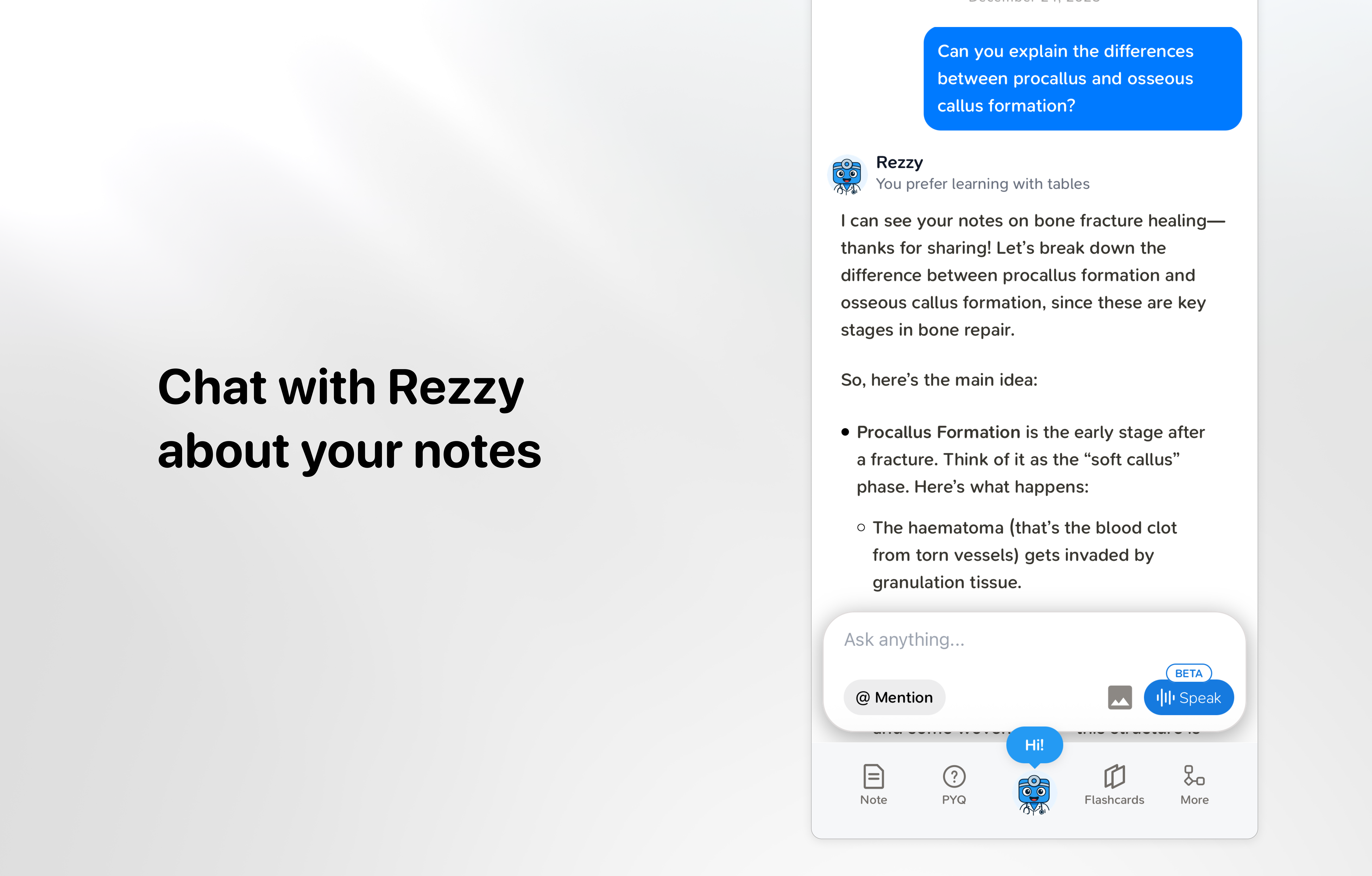 Chat with Rezzy about your notes