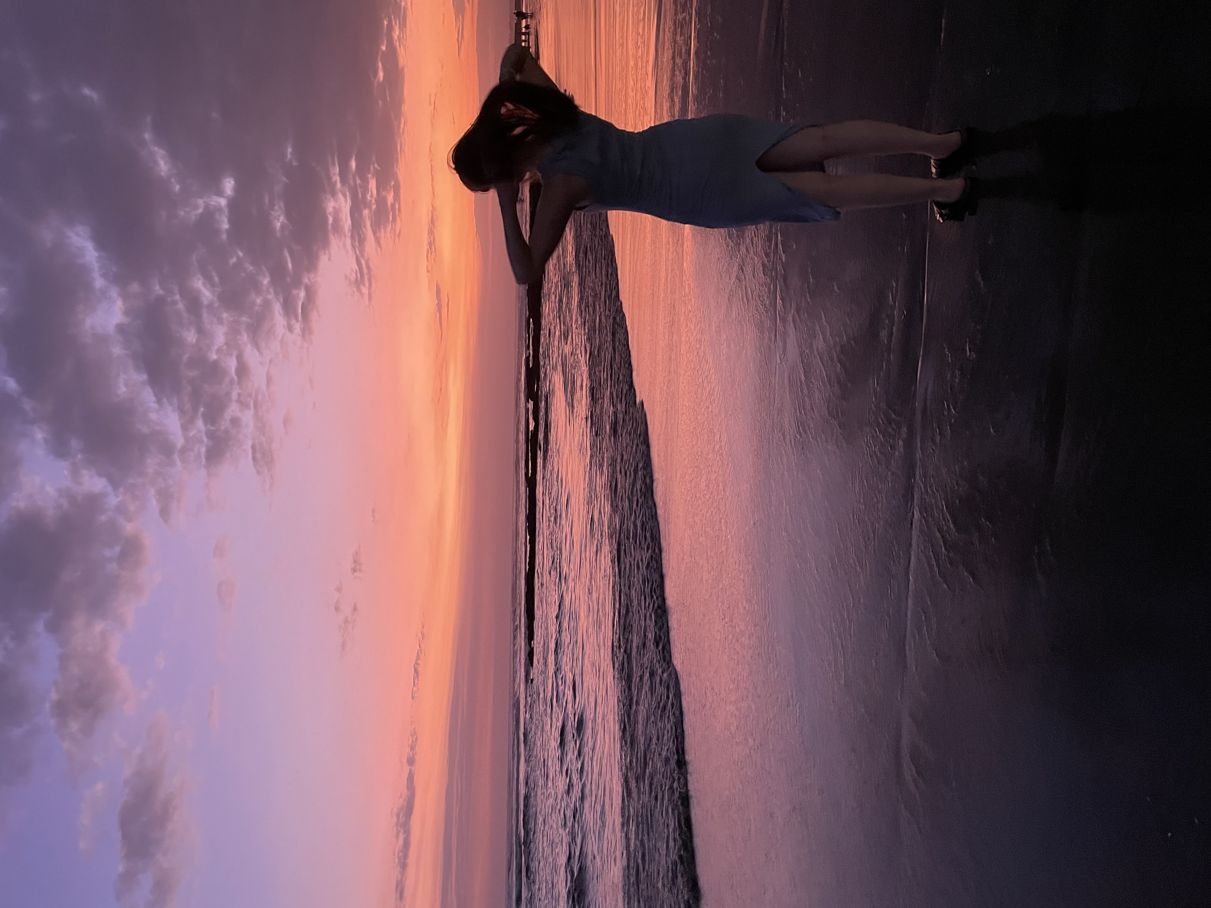 Close-up of a tree stump showing growth rings and a textured brown wood surface.