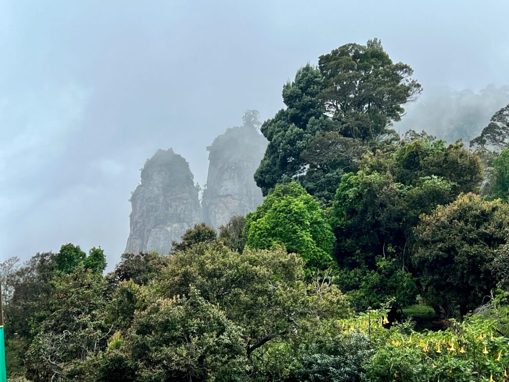 Pillar rocks view point partly hidden behind the trees and covered in fog.