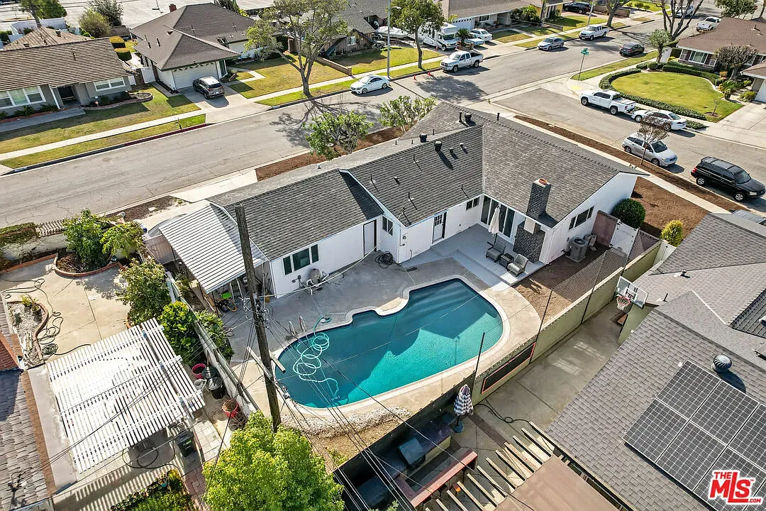 green plant on white ceramic pot