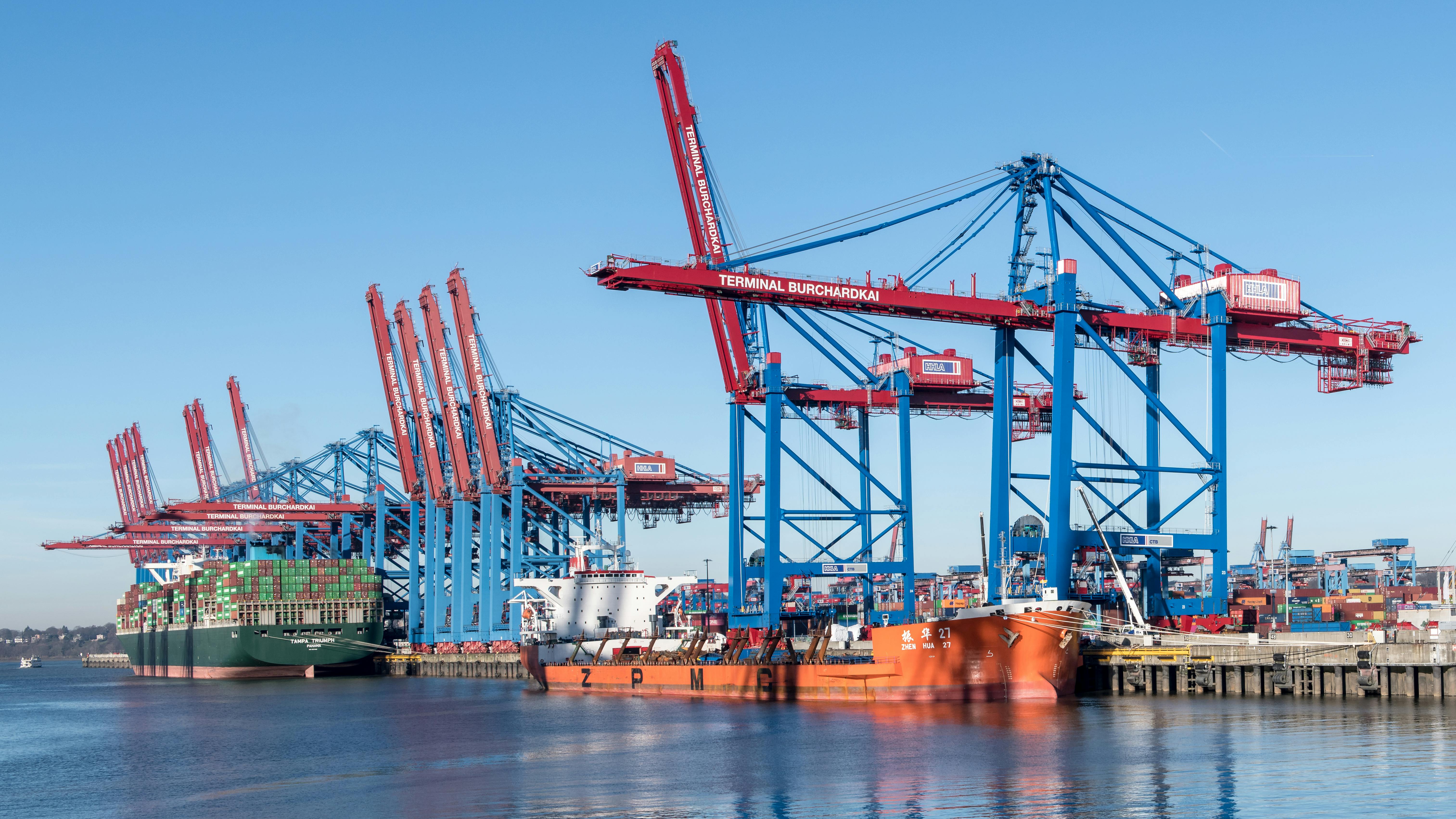A close-up view of dark green leaves, creating a lush, textured background with subtle variations in color.