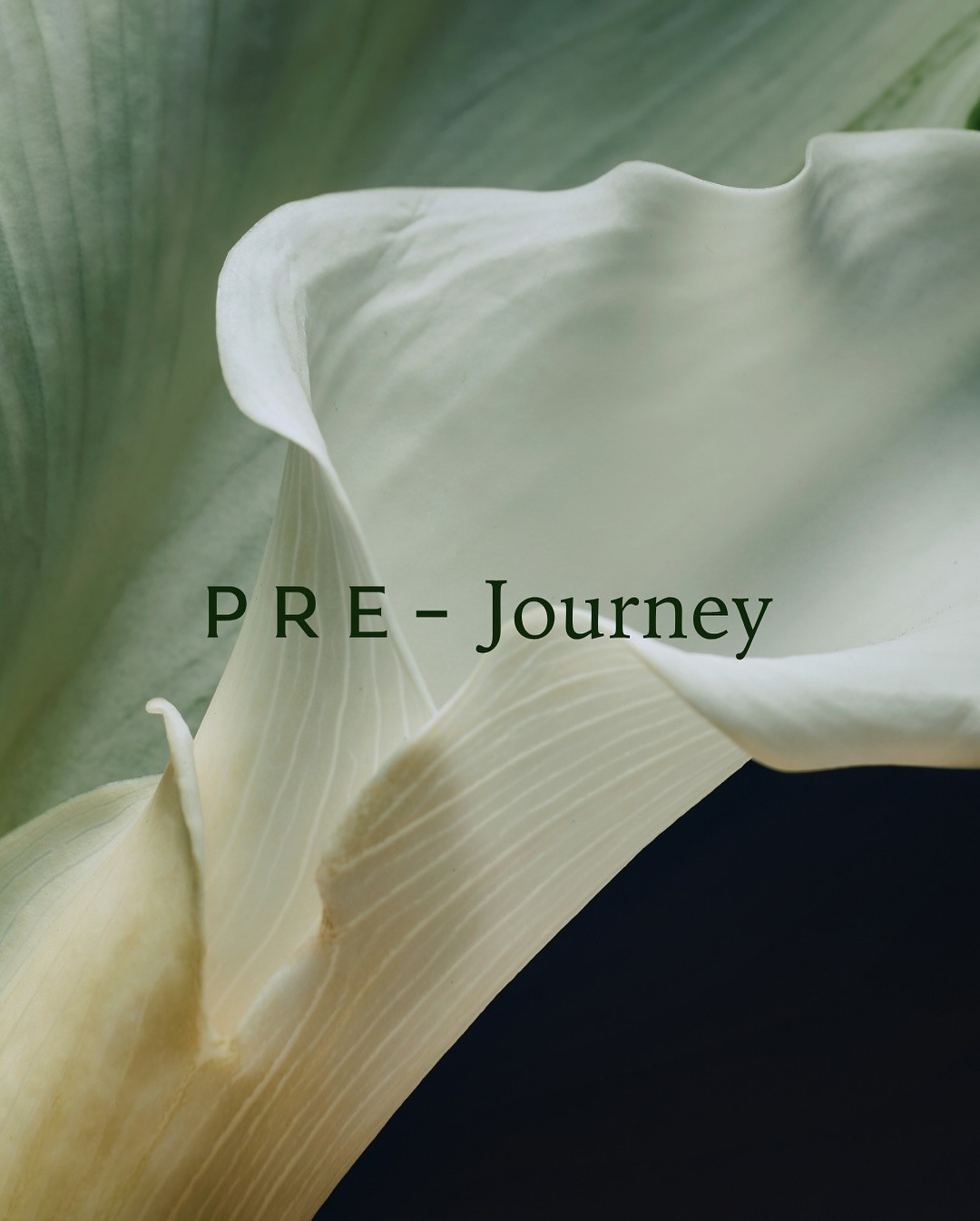 PRE — campaign image 1