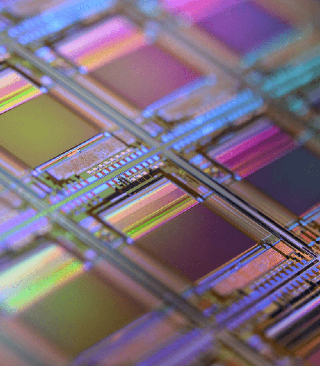 Microchip