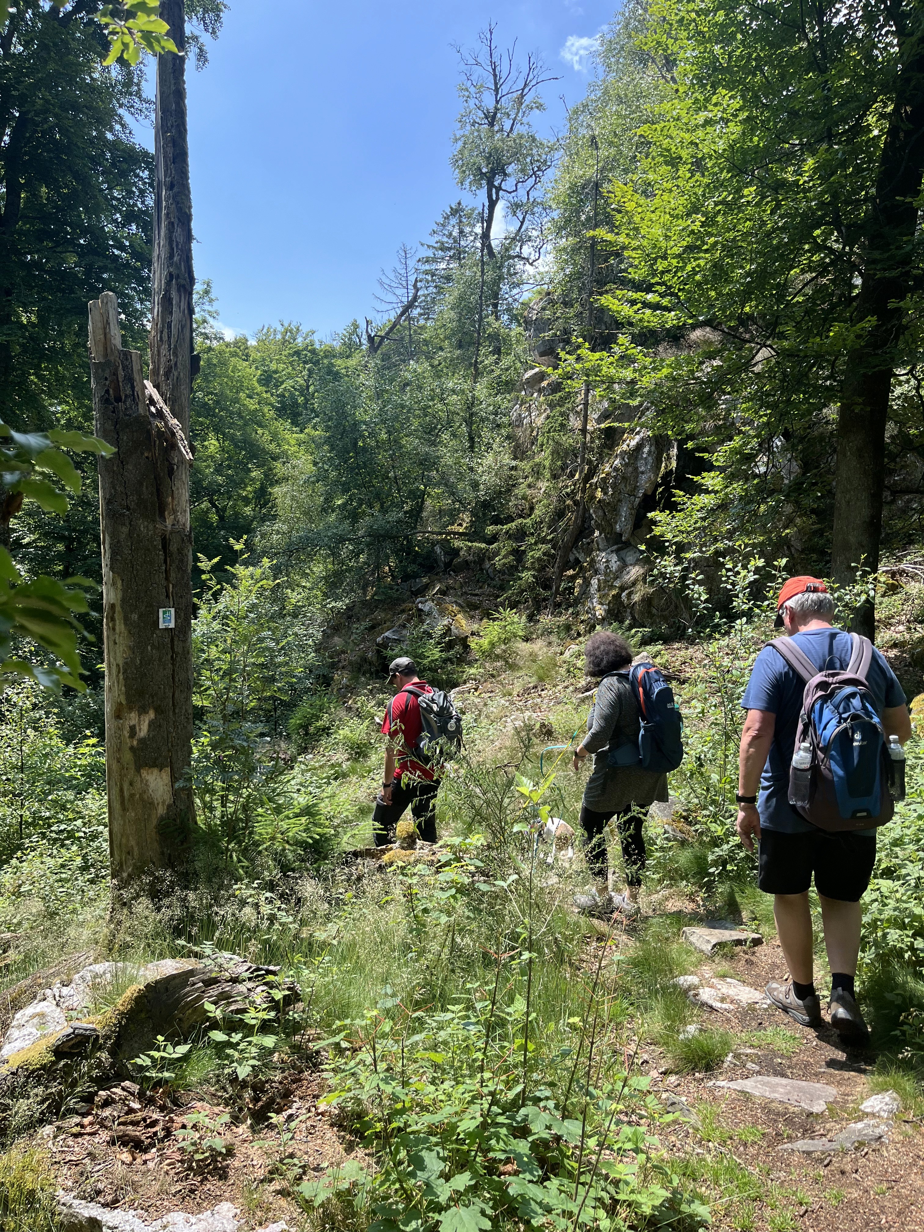 Unterwegs im Nationalpark Hunsrück-Hochwald auf dem Saar-Hunsrück-Steig