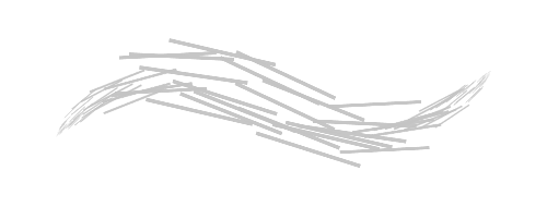 Flat Scatter Follow