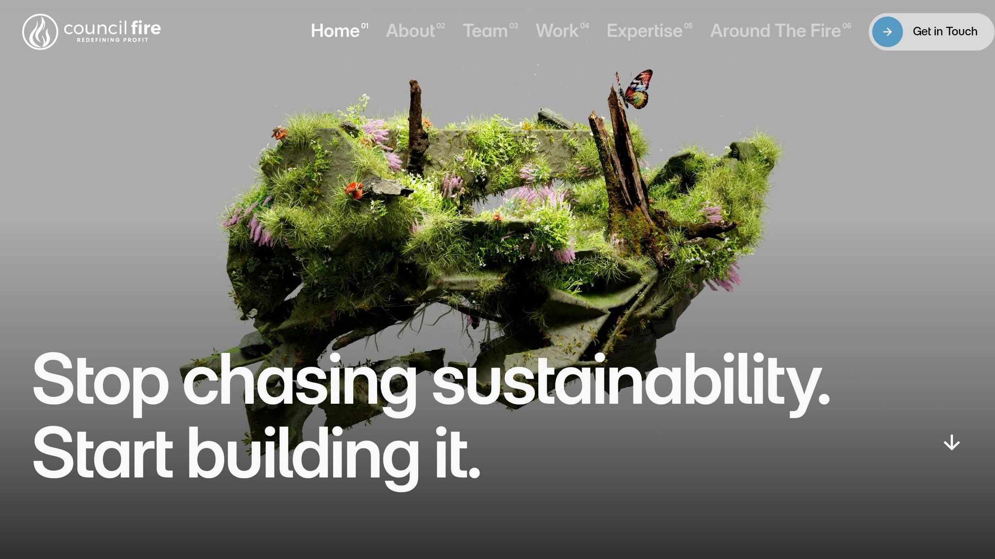 Council Fire Consulting