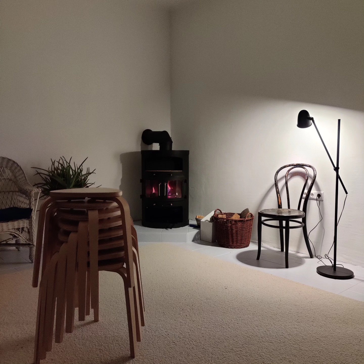 A person with curly hair sits at a desk, working on a laptop in a cozy, well-lit environment.