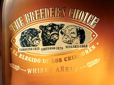 Rooftops of a coastal town with the sea in background