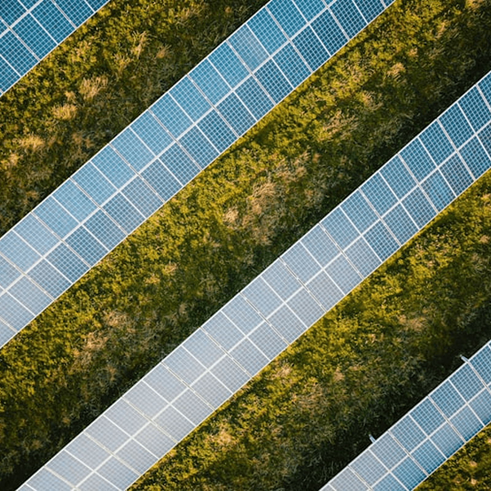 Panel Repair