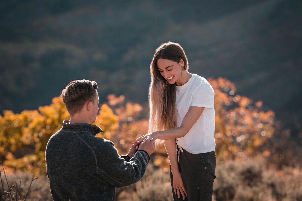 Ideal Aspen proposal positioning