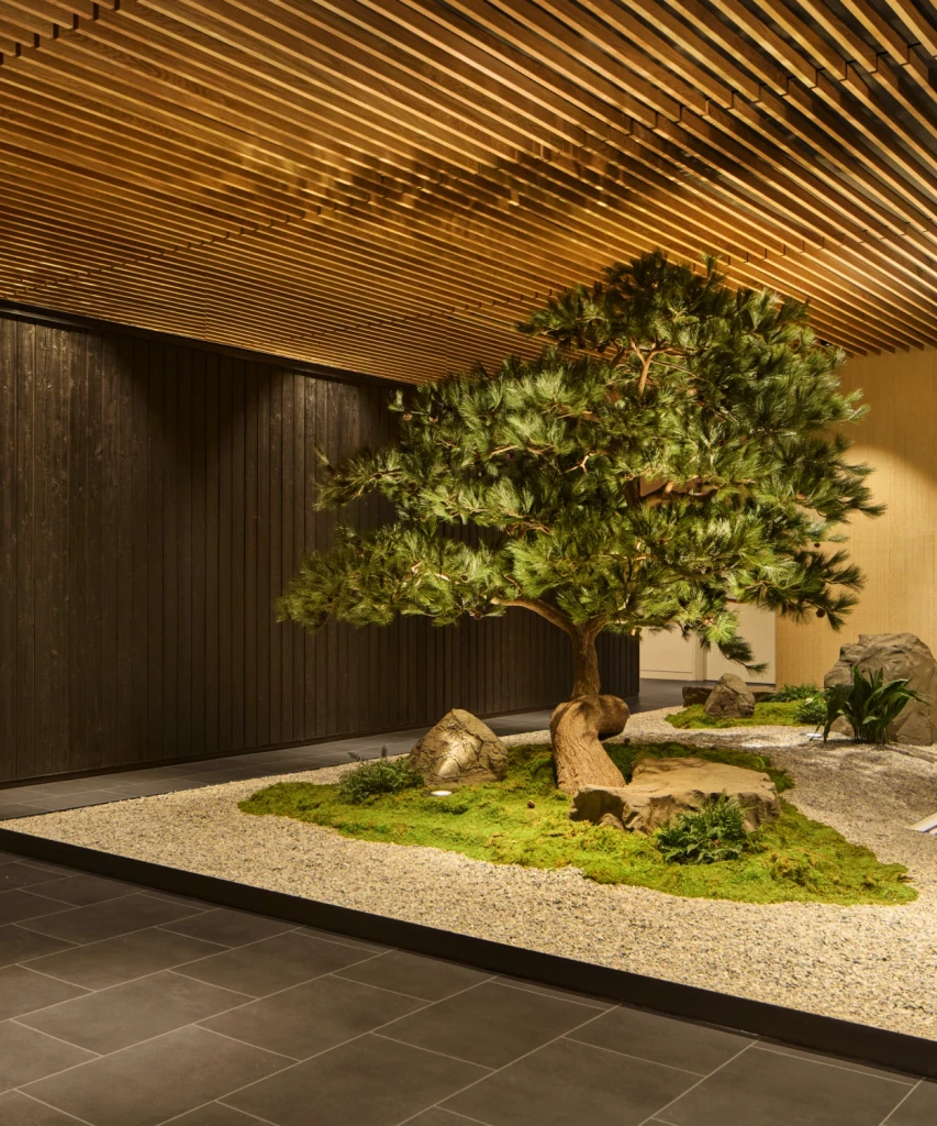 Biograph New York longevity health center interior courtyard with zen garden and natural tree