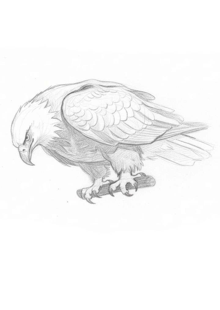 The Idea - Pencil Sketch
