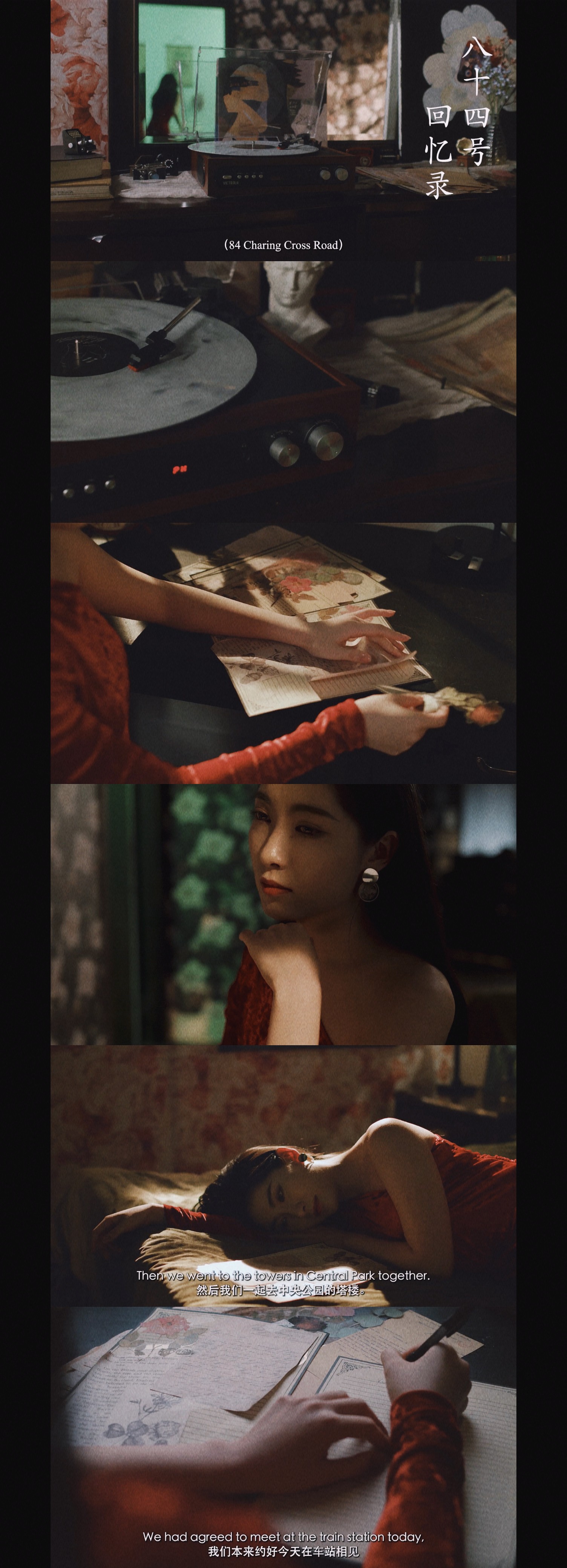 plant with light shining through it