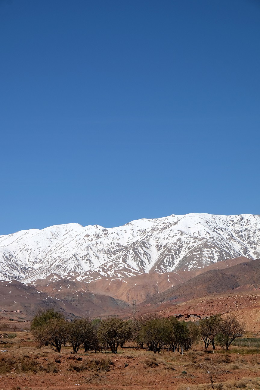 Woman in a blazer with sunlight on her face.