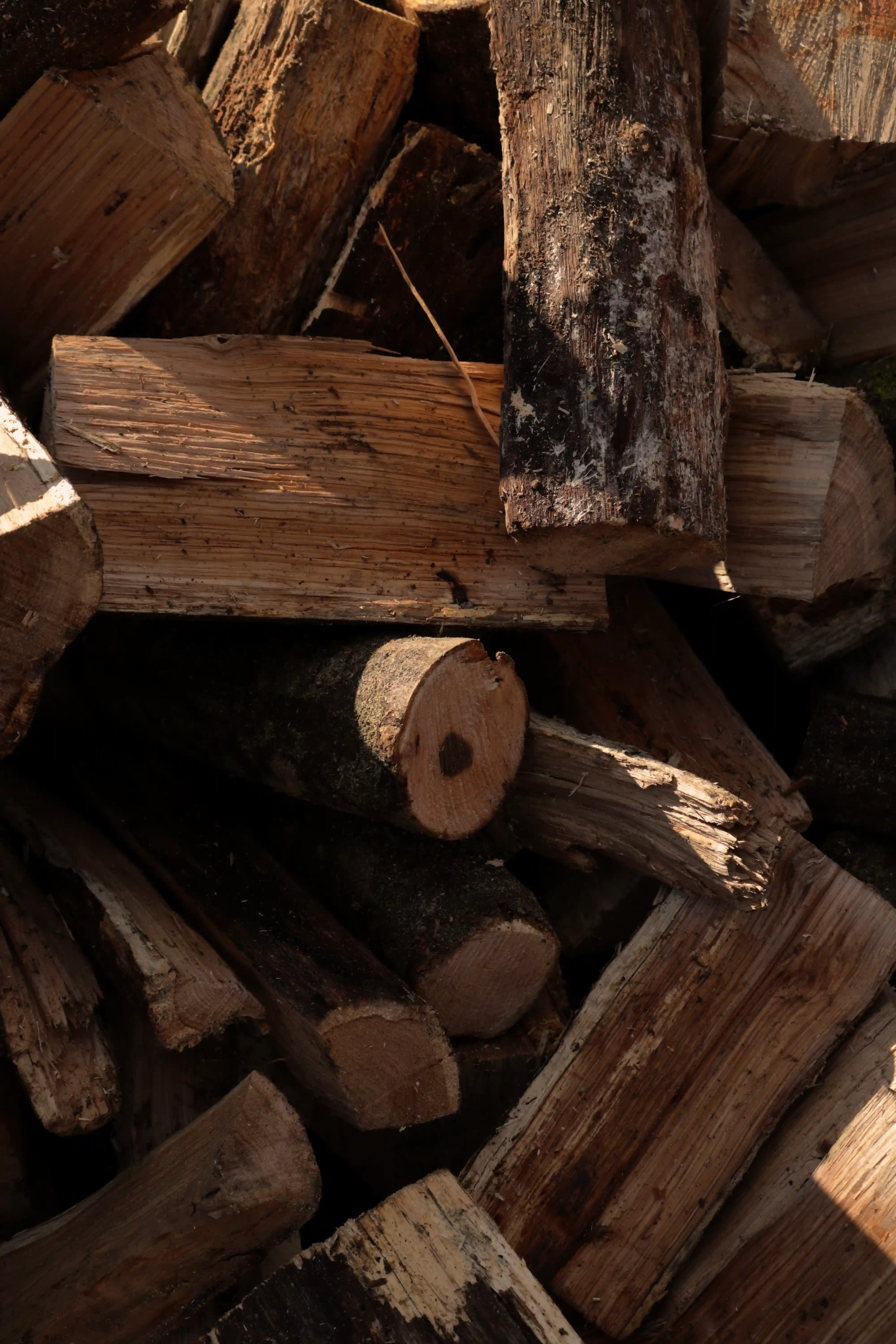 A close-up view of a pile of wood