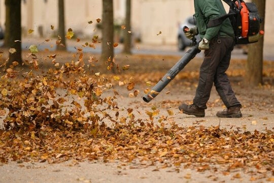 Leaf removal