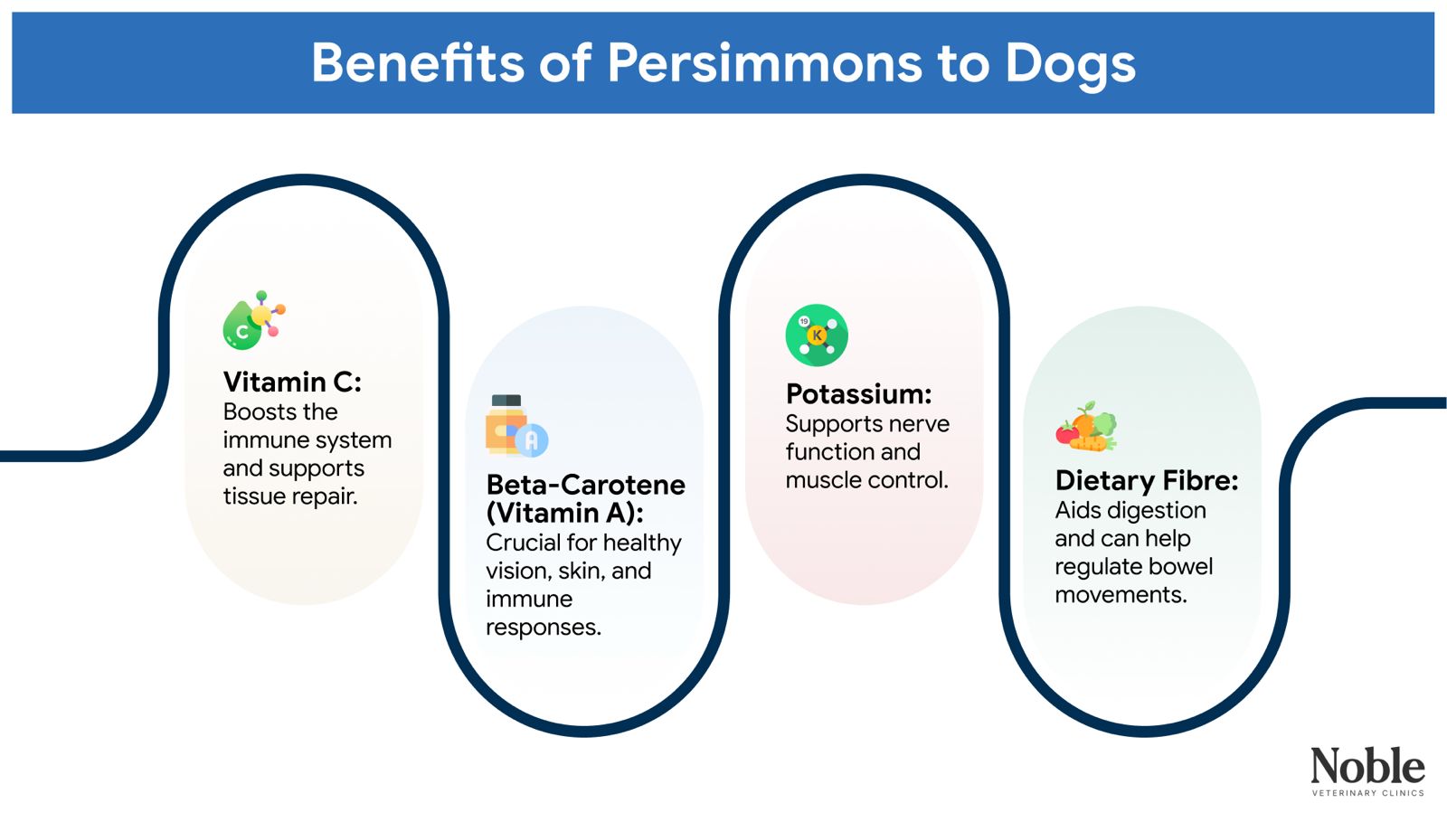 An infographic illustrating the benefits of persimmons to dogs.