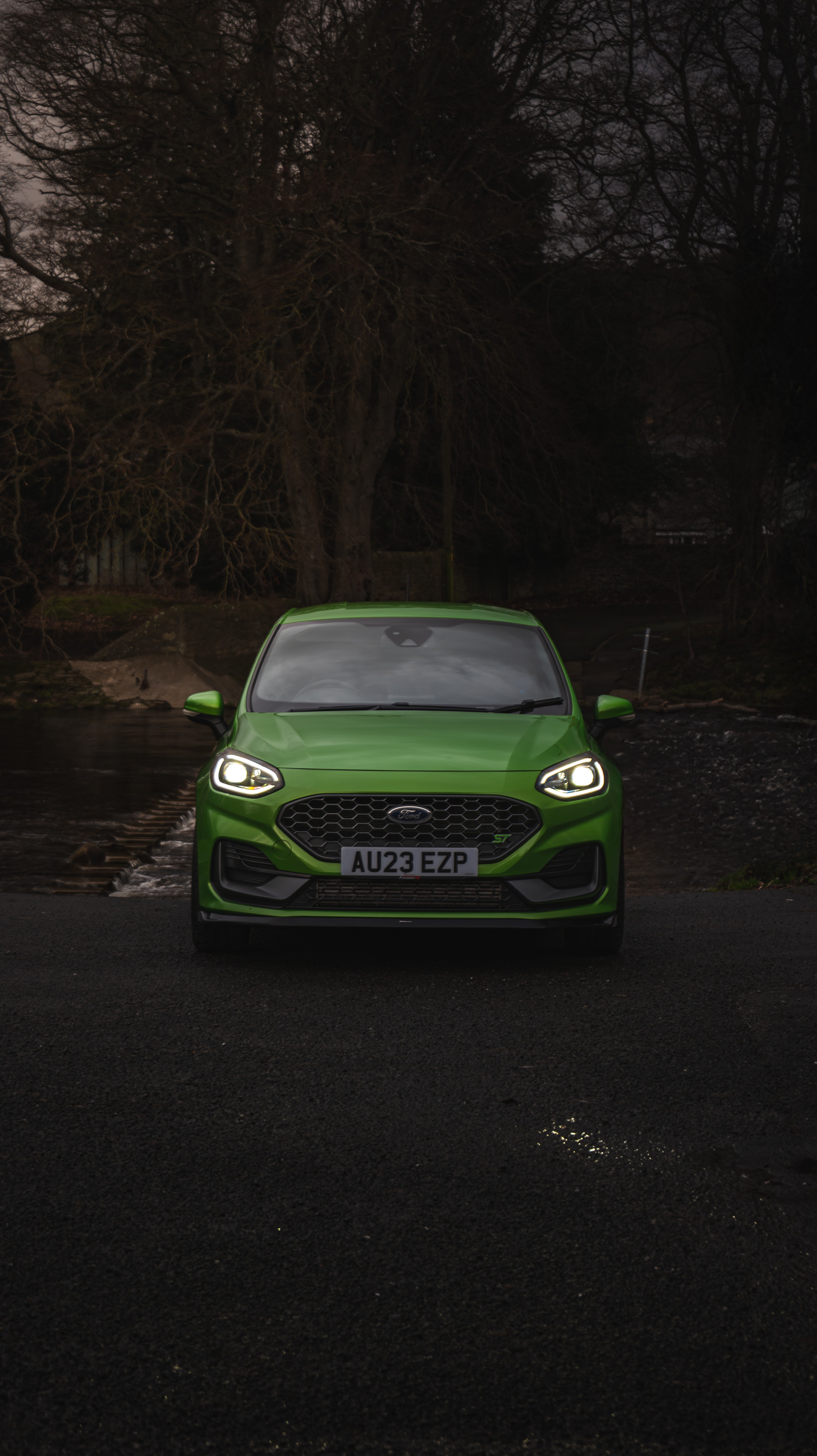 Fiesta st front shot in the countryside