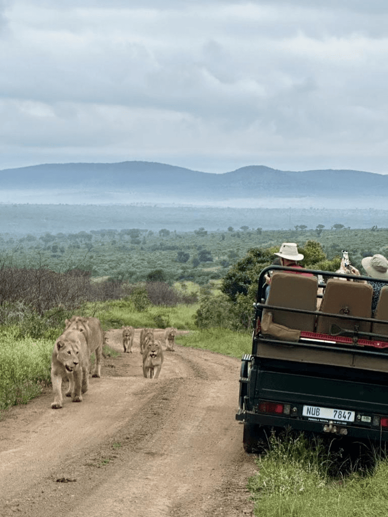 En bild som visar utomhus, himmel, gräs, Landfordon
AI-genererat innehåll kan vara felaktigt.