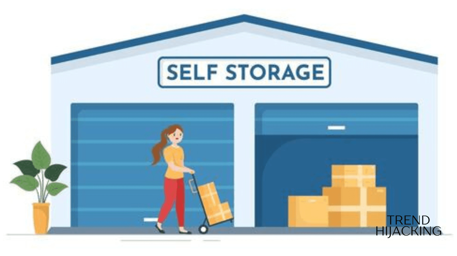 cash flow business for sale near me