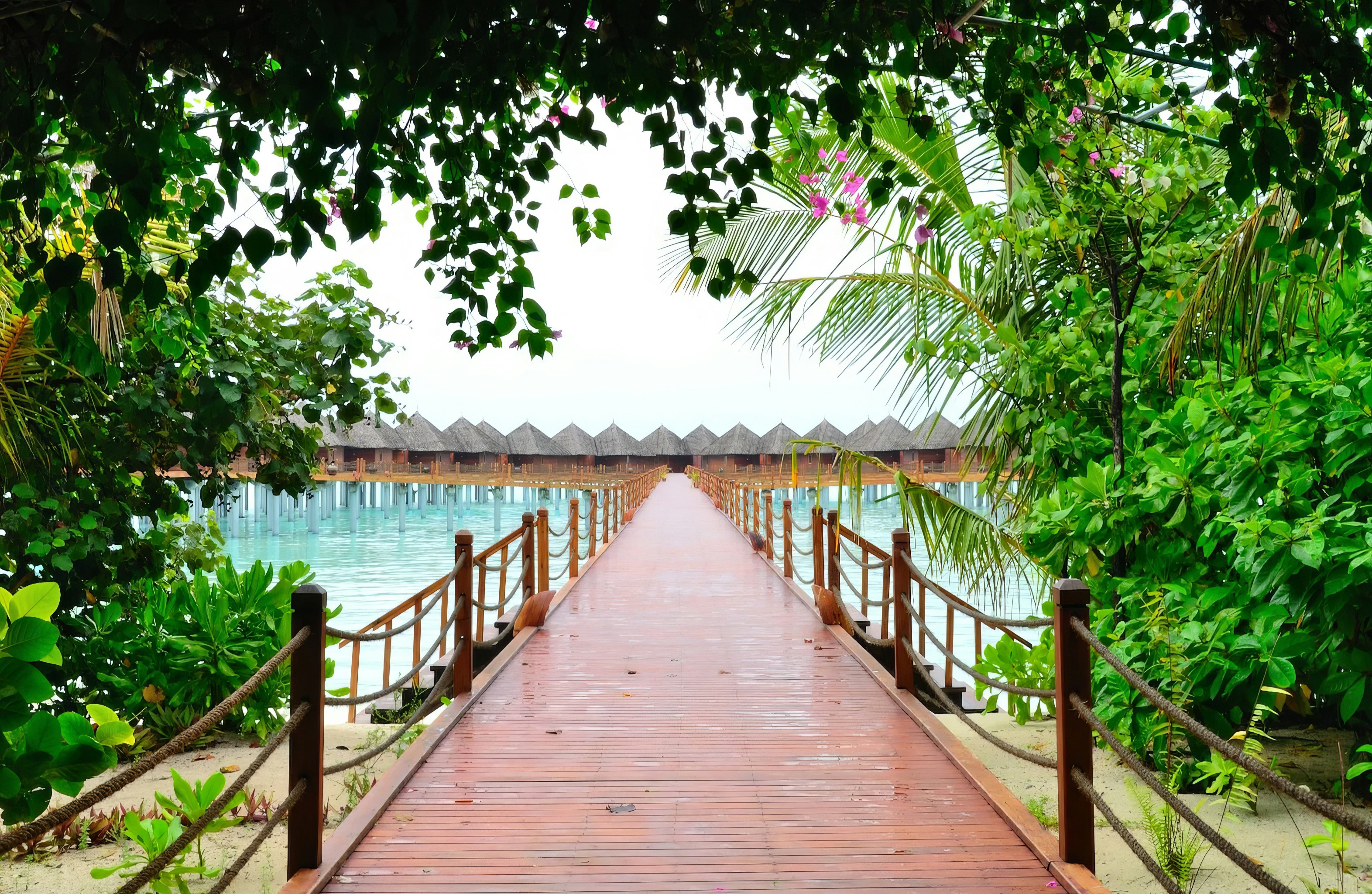A wooden walkway leading to a body of water