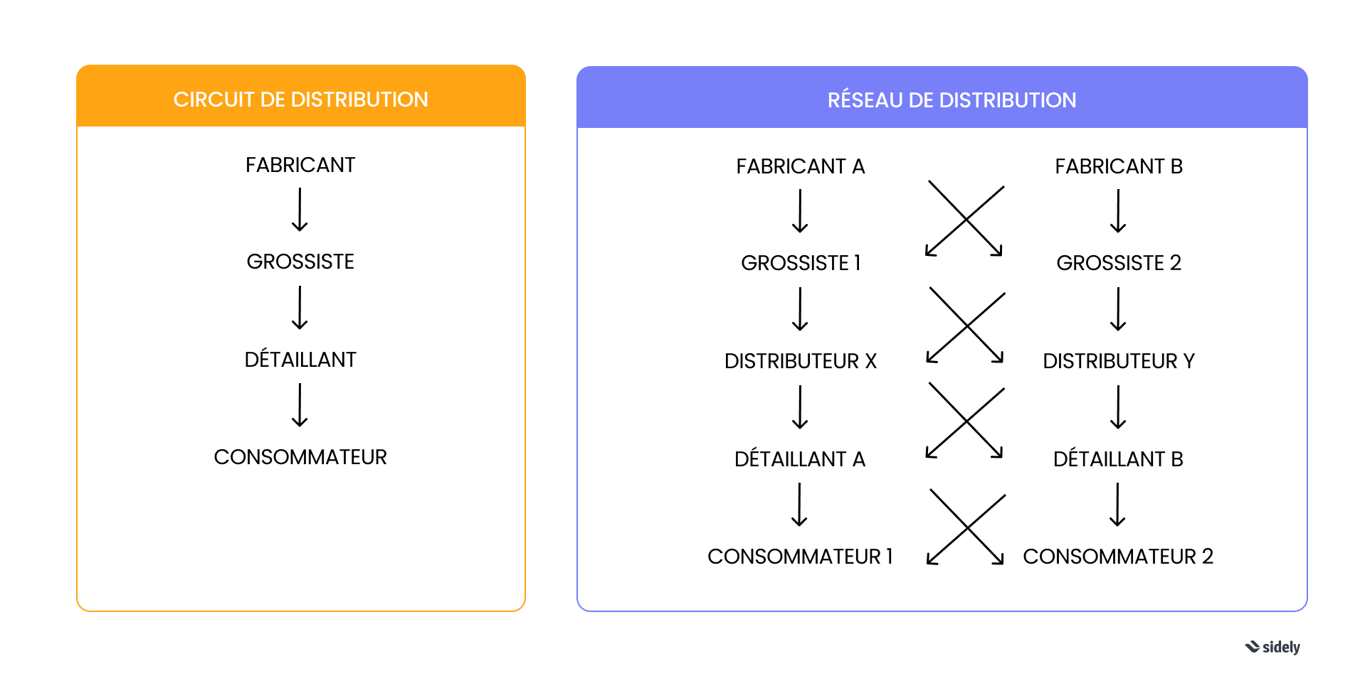 circuit de distribution vs réseau de distribution : les différences