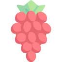 Uva